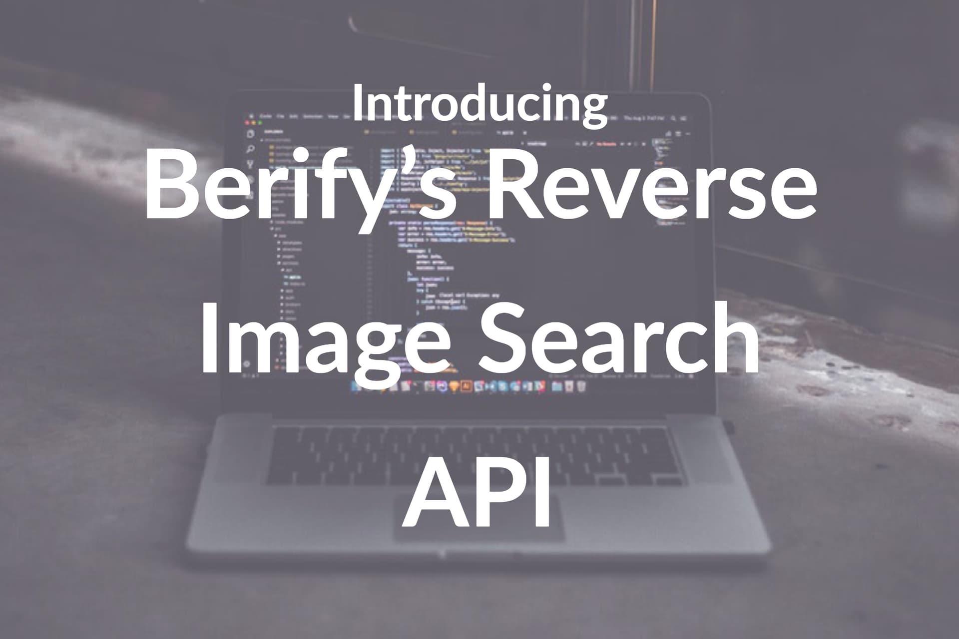 Introducing the Best Reverse Image Search API
