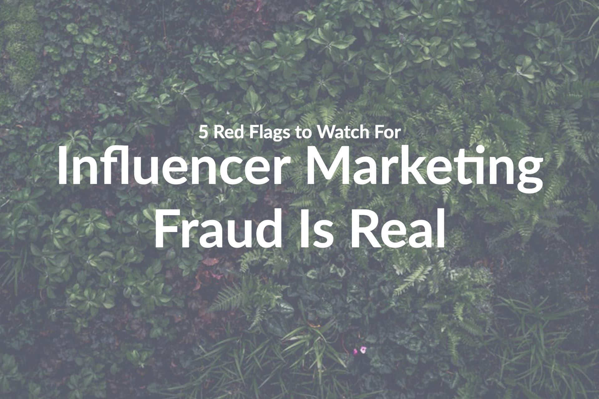 Influencer Marketing Fraud Is Real: 5 Red Flags to Watch For