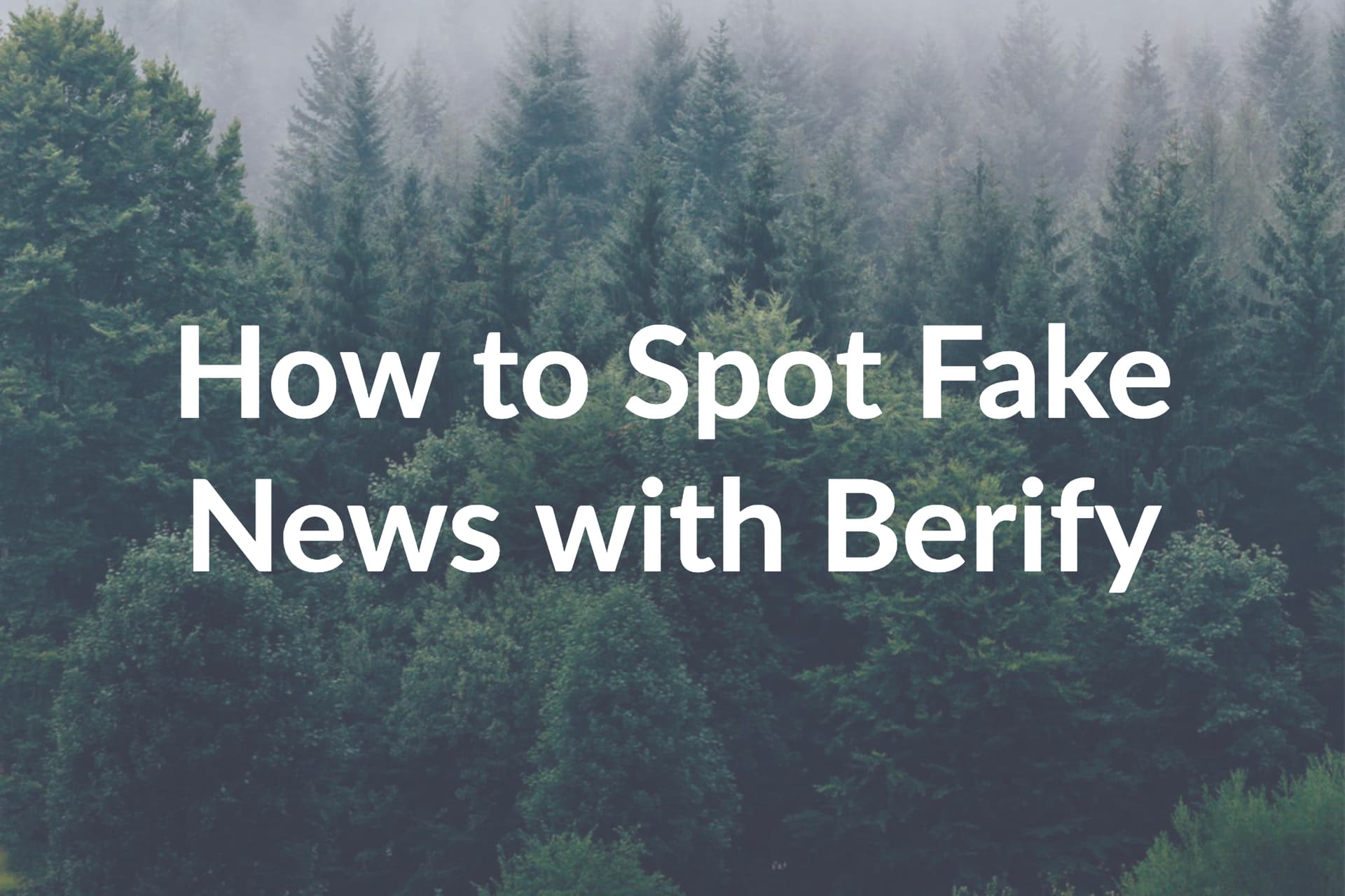How to Spot Fake News with Berify